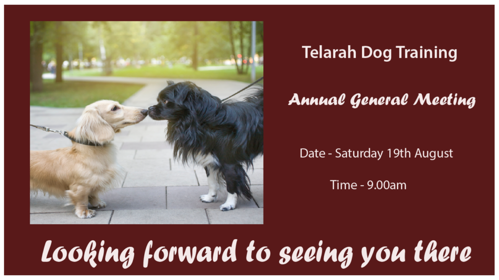 Telarah dog traiining
Annnual General Meeting
19th August 2023
9.00am